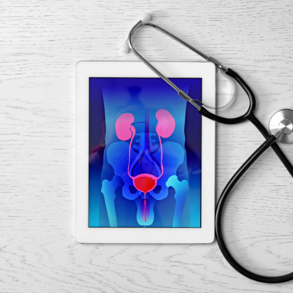Sonography of the Testicles and Scrotum