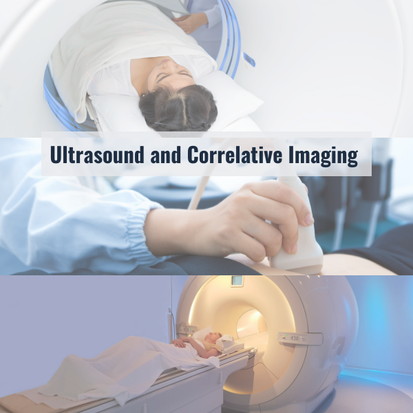 Correlative Imaging