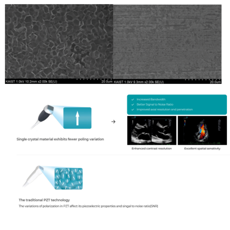 Ultrasound Tranducer Single Crystal